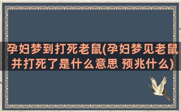 孕妇梦到打死老鼠(孕妇梦见老鼠并打死了是什么意思 预兆什么)